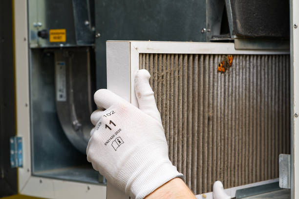 Best Ventilation Cleaning Services  in Tubac, AZ
