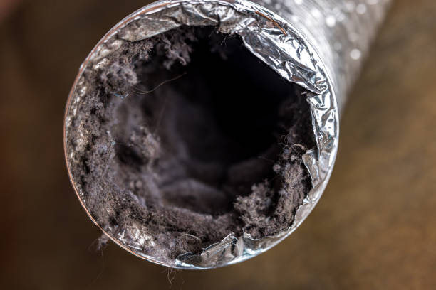 Best Affordable Air Duct Cleaning  in Tubac, AZ